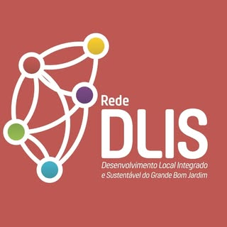 Rede DLIS